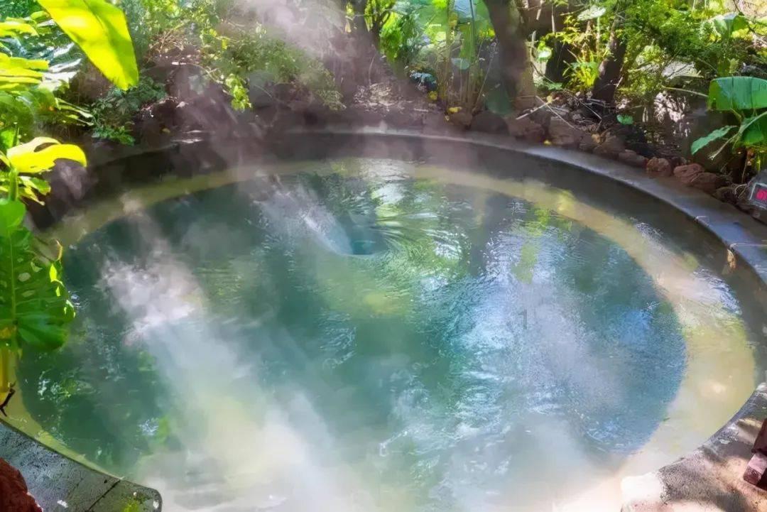 华美之下的危机：绚烂花朵与蝴蝶、圣诞节灯罩和黑白狼侵权隐患